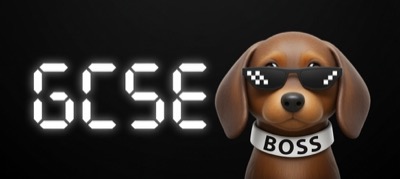 GCSE Boss